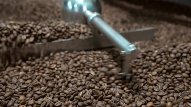 roasted coffee beans in a coffee roaster