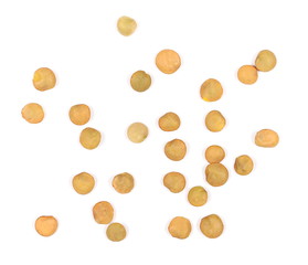 lentils isolated on white background