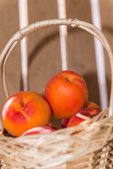 Panier d'Abricot