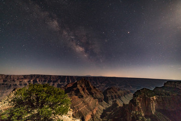 Obraz premium Milky way over the Grand Canyon's North Rim