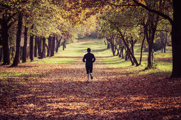 Running in the park in autumn