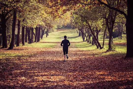 Running in the park in autumn