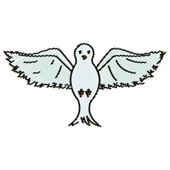Dove icon. Bird animal peace freedom and nature theme. Isolated design. Vector illustration