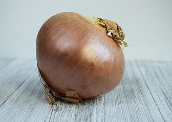 Isolated Onion on Wood