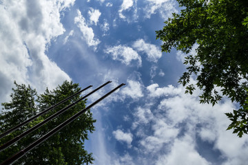 winner sky