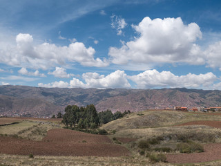 Fototapeta na wymiar Potato plantation at Sacred Valley in Cusco, Peru