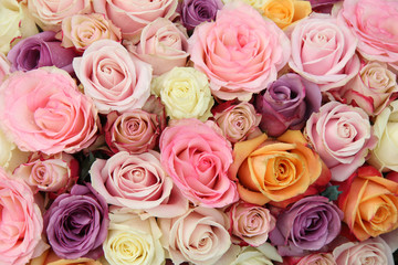 Mixed pastel roses