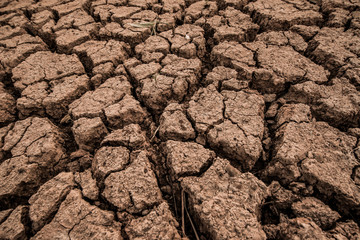 Land with dry and cracked ground texture. Desert, hot climate, dry salt earth.