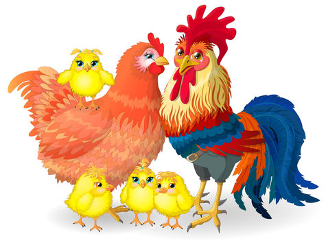 Cock family - Cock, hen and chickens. Vector Illustration.