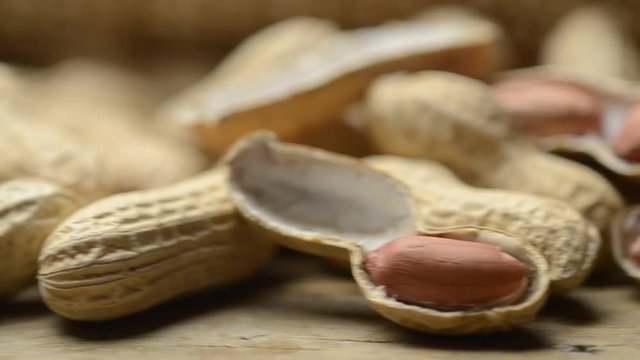 Arachis hypogaea Cacahuate Peanut Man&iacute; Podzemnice olejn&aacute; F&ouml;ldimogyor&oacute; Lạc Arachidi Amerikaimogyor&oacute; Orzacha podziemna Alun de păm&acirc;nt Erdnuss Arachide אגוז אדמה 花生 Yer fıstığı ถั่วลิสง Арахис
 
