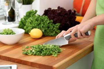 Closeup of woman hands cooking vegetables salad in kitchen. Healthy meal and vegetarian concept.