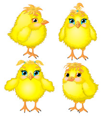 Four funny chicken: two boys and two girls. Vector Illustration. Funny chickens with expressive eyes and cute faces.
