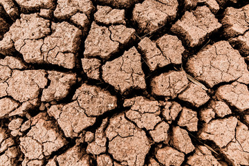 Land with dry and cracked ground texture. Desert, hot climate, dry salt earth.