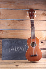 Fototapeta premium ukelele