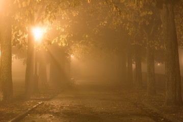 Path in a park during a foggy night