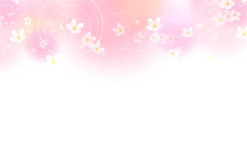 Obraz premium 桜の背景 春イメージ