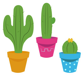 Set Cactus vector.
