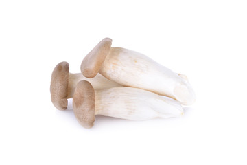Eryngii mushroom or King oyster mushroom on a white background
