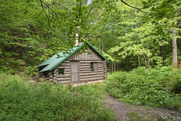 Remote Cabin in the Forest