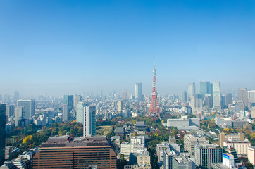 Fototapeta premium Tokyo Tower w Tokio w Japonii