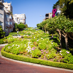 Lombard Street in San Francisco California