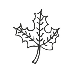 autumn leafs decoration icon vector illustration design