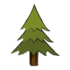drawing pine tree forest camping icon vector illustration eps 10