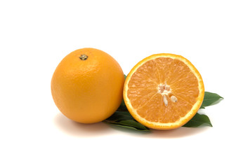 Beautiful yellow and orange on a white background