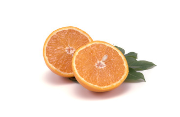 Beautiful yellow and orange on a white background