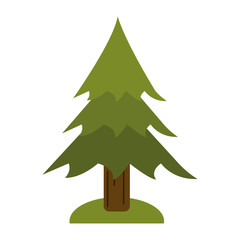 pine tree forest camping icon vector illustration eps 10