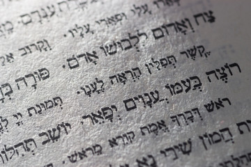 Hebrew Scripture in the Jewish Bible