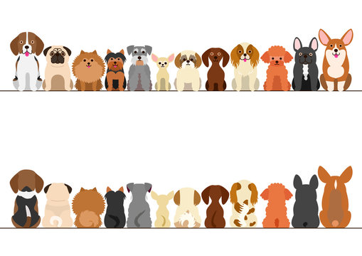 small dogs border set, front view and rear view