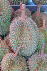 durian fruit at the market.