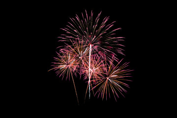 Obraz premium Colorful new year fireworks over dark sky
