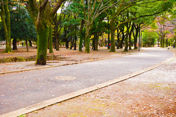 散歩道