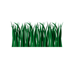 natural grass isolated icon vector illustration design