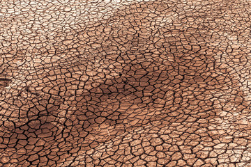 Dry land with broken soil represent hot weather and global warming.