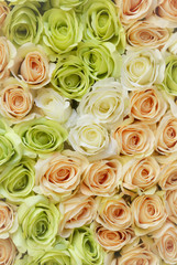 white, pink and green roses bouquet for background