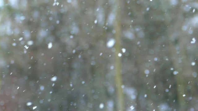 Snow gracefully falling in sunlight, slow motion, perfect winter background.
