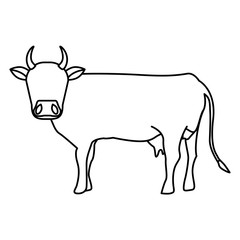 Indian brown cow icon vector illustration graphic design