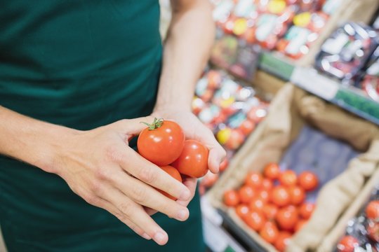 Focus on foreground of man grocer holding tomatoes
