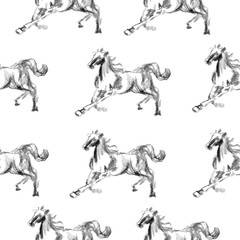 Horse hand drawn graphic illustration painted pencil isolated on white, seamless vector pattern, decorative background, designed texture, ornament for greeting card, package, wallpaper, scrapbook