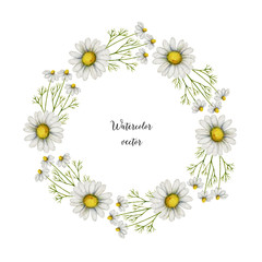 Watercolor vector round frame of chamomile.