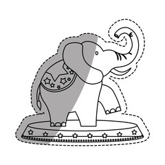 Circus elephant cartoon icon vector illustration graphic design