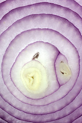 Red onion slices as background and texture