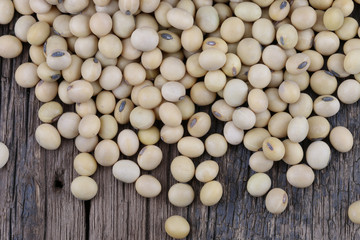 soy beans