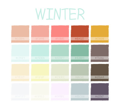 Winter Color Tone with Code. Vector Illustration.