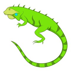 Fototapeta premium Iguana icon. Cartoon illustration of iguana vector icon for web
