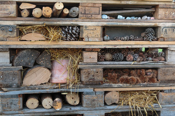 Wooden Pallets Stacks with Branch, Chestnut and Pine Cone
