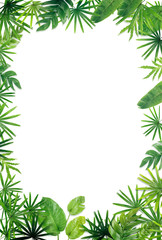 Green leaf border background